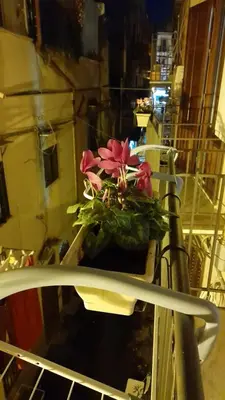 a potted plant sitting on top of a table at Casa Kyla in Palermo