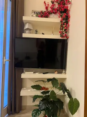 a flat screen tv on a wall with a plant at Casa Sciàlari in Palermo