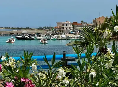 a bunch of boats in a harbor with flowers at Casa Sciàlari in Palermo