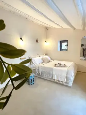 a bedroom with a bed and a plant at Dream Penthouse over main Square in Palermo