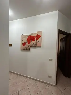 two paintings of poppies on a white wall at Conchiglia azzurra in Trappeto