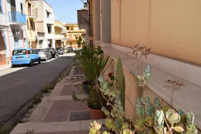 a row of potted plants on the side of a street at Conchiglia azzurra in Trappeto