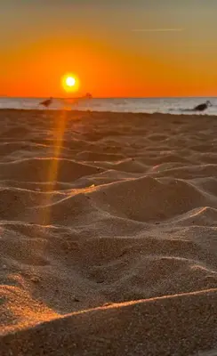 a sunset on a sandy beach with the ocean at Castellammare Riviera in Alcamo Marina