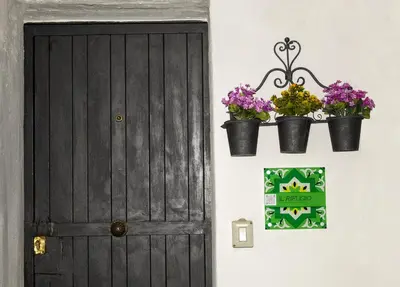 two potted plants on a wall next to a door at politeama guest house il rifugio Palermo in Palermo