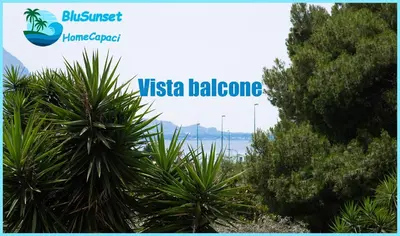 a sign for a villa balboa with a palm tree at BluSunset Home Capaci in Capaci