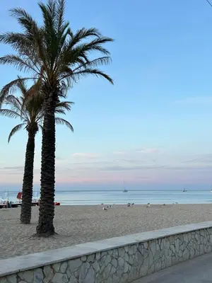 two palm trees on a beach near the ocean at Camera con terrazza in San Vito lo Capo