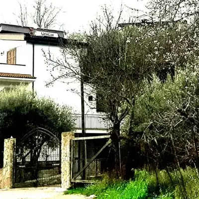 Menzel el Emir