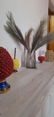 a group of vases on a table with plants at Sweet Dreams a casa di Alex in Palermo