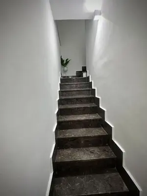 a staircase in a white wall with a plant on it at Home Mia in Palermo