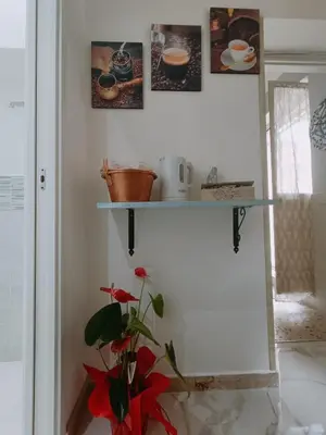 a shelf on a wall with a plant in a room at Gioiello di casa in Palermo