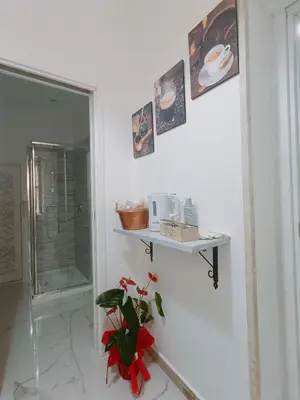 a white room with a shelf on the wall with a plant at Gioiello di casa in Palermo