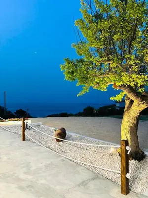 a dog sitting on a chain next to a tree at Terrazza Vitaloca in Scopello