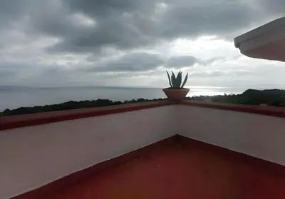 a plant in a pot on a balcony with the ocean at Casa delle Stelle in Scopello