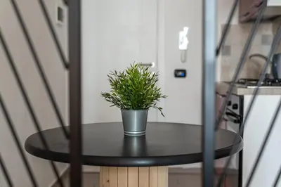 a small table with a potted plant on it at Naos Home - Alle Spalle del Teatro Massimo in Palermo