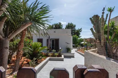 a courtyard with palm trees and a white building at Villa Makar Seaview in Macari