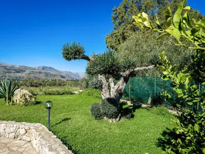 a tree in the middle of a yard at Villa Flavia by Interhome in Castellammare del Golfo