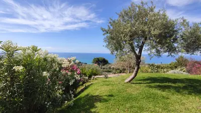 a tree in a field with the ocean in the background at Costa Azzurra Cefalù Residence in Cefalù