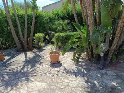 a garden with a bunch of plants and trees at Castellaccio Scopello Villetta con piscina in Scopello