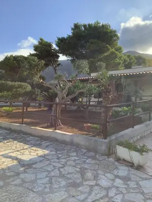 a fence with a tree in front of a house at Macari House in Macari