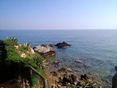 a view of the ocean with rocks and plants at Alle due Torri, villa sulla roccia a picco sul mare in Altavilla Milicia