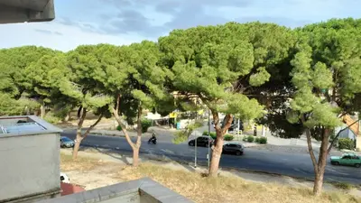 a group of trees on the side of a street at Casa Stella in Palermo