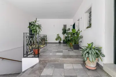 a hallway with potted plants in a building at GuestHost - Palermo's Rooftop - Apt with Panoramic Terrace in Palermo