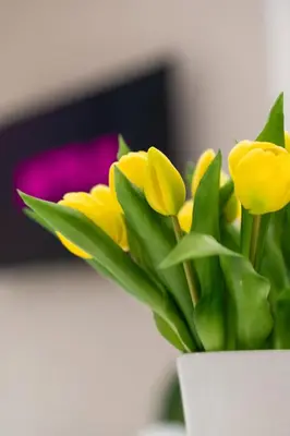 a bunch of yellow flowers in a white vase at Ambrosia Suite in Palermo