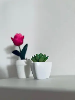 three white pots with flowers on a shelf at Sun House in Palermo