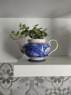 a blue and white vase with a plant in it at Liberty Blue House in Palermo