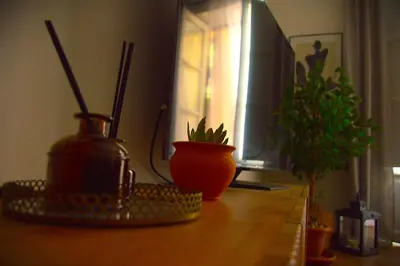 a desk with a computer monitor and a potted plant at Suite 374 in Palermo