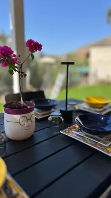 a plant in a pot sitting on a table at Casa Vacanza Villa Corona in San Vito lo Capo