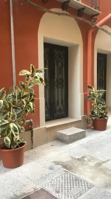a front door of a building with two potted plants at Casa Rosa in Palermo