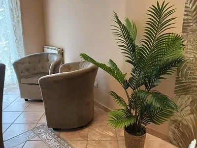 a living room with two chairs and a palm tree at Dojo idro rooms in Carini
