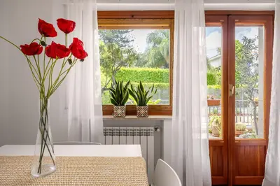 a vase of red roses on a table in front of a window at More Holidays Beach in Mondello