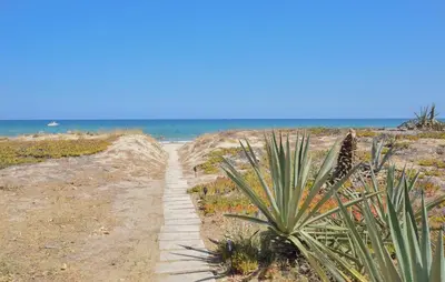 a pathway to the beach with a palm tree at 3 Bedroom Stunning Apartment In Alcamo in Alcamo