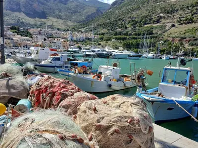 a bunch of boats are docked in a harbor at Verdeacqua Home in Castellammare del Golfo