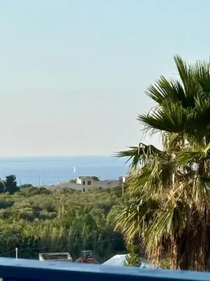 a view of a palm tree and the ocean at Maison Lume in Castellammare del Golfo