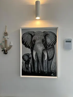 a picture of an elephant hanging on a wall at Casa cancello a mare in Santa Flavia