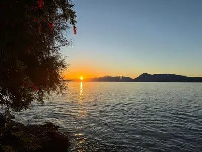 a sunset over a body of water with a tree at Casa cancello a mare in Santa Flavia