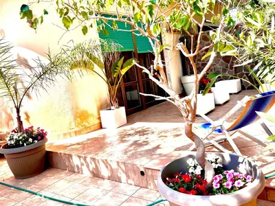a potted tree in a large pot with flowers at Villa Giovina Mondello in Mondello
