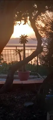 a sunset seen through the branches of a plant at Where The Sun Rises in Scopello