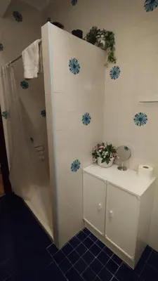 a bathroom with a shower with blue flowers on the wall at Casa Grazia in Palermo