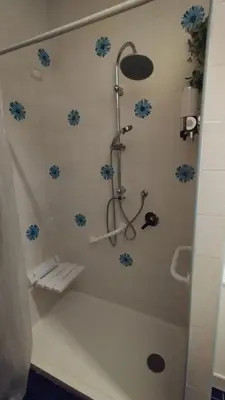 a bathroom with a shower with blue flowers on the wall at Casa Grazia in Palermo