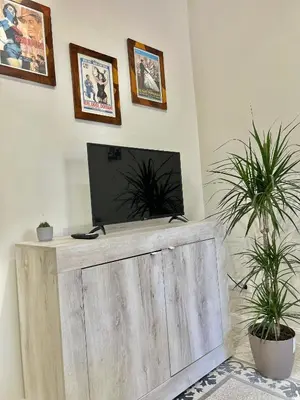 a living room with a television and two potted plants at Casa Esterù -Centro storico di Palermo- in Palermo