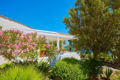 a white house with pink flowers and trees at Villa Ginestra - Scopello-Villas in Scopello