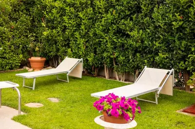 two white chairs and flowers in a yard at Villa Carmen in Mandra Capreria
