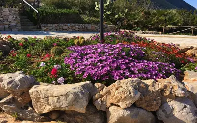 a flower garden with pink flowers and rocks at Il Casale San Vito in San Vito lo Capo