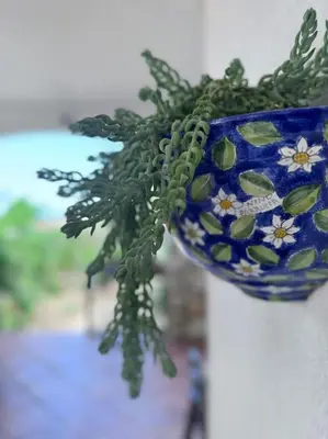 a blue vase with a bunch of green plants in it at Casa Vacanze Anthea Carini in Carini