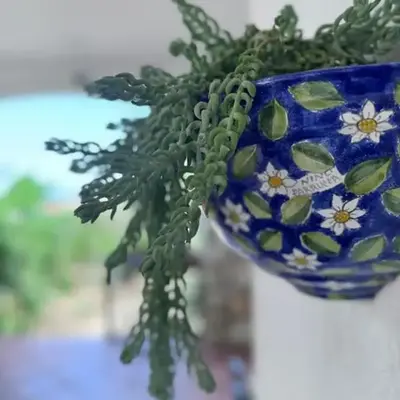 Casa Vacanze Anthea Carini