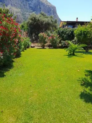 a green yard with flowers and a mountain in the background at traversa 8, aeroporto in Cinisi